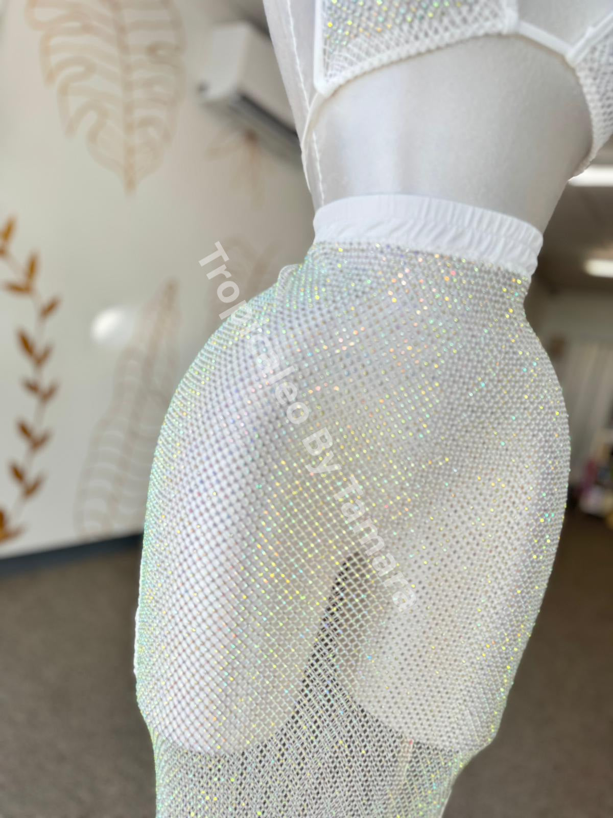 Prismatic Sexy Mesh Set