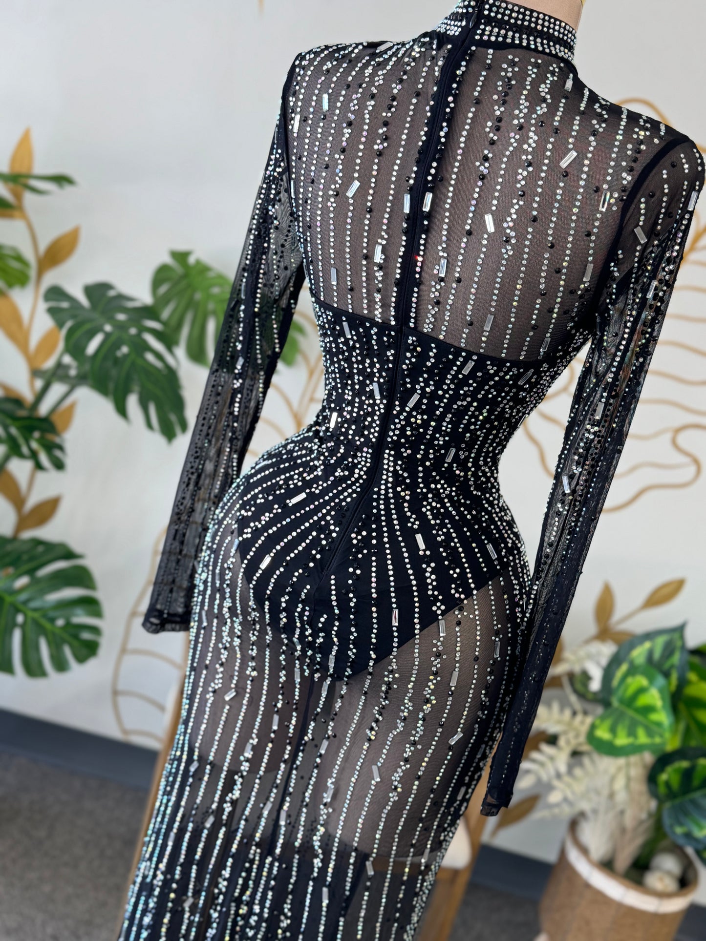 Crystal Muse Sheer Dress