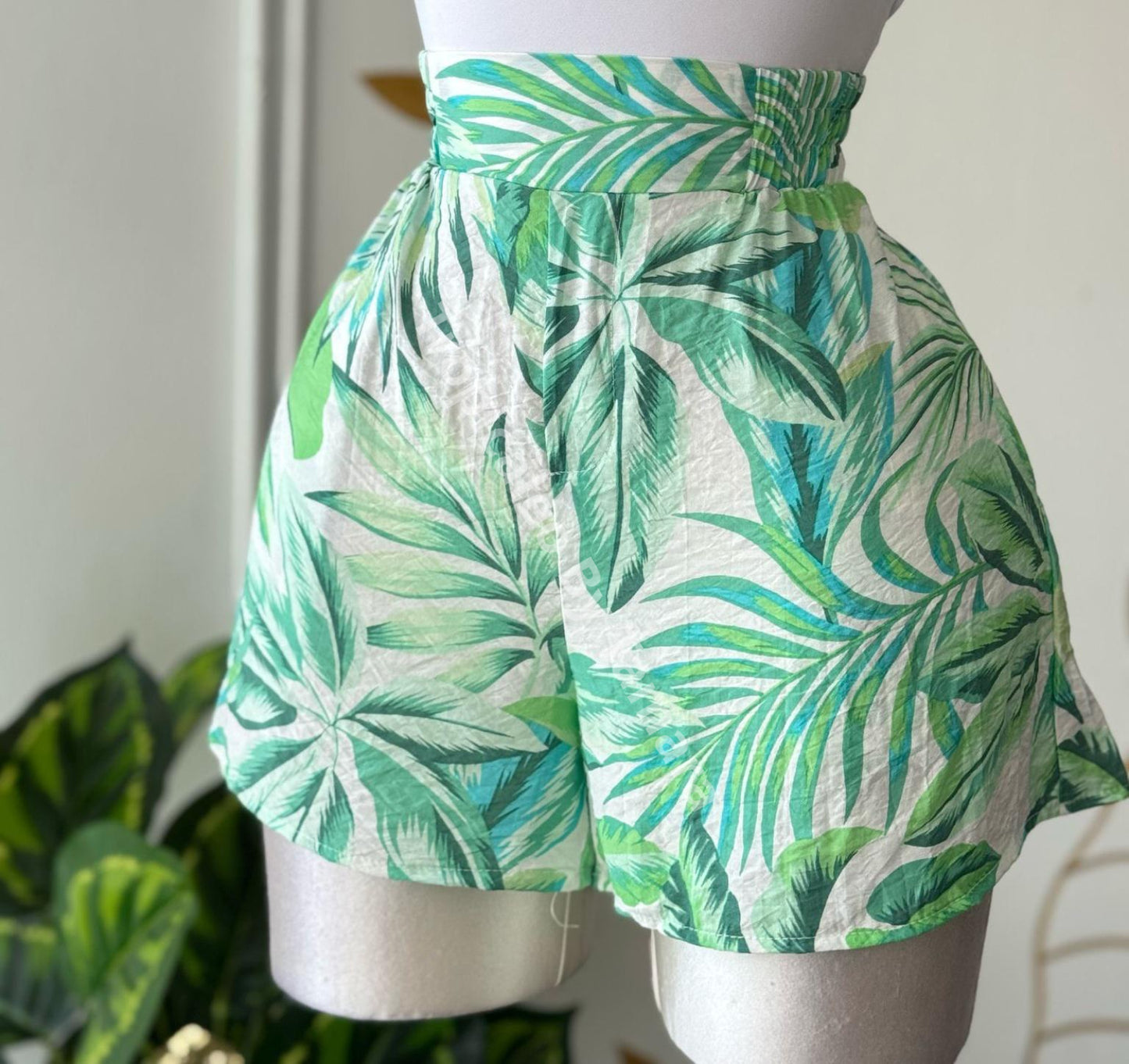 Palm Breeze Shorts