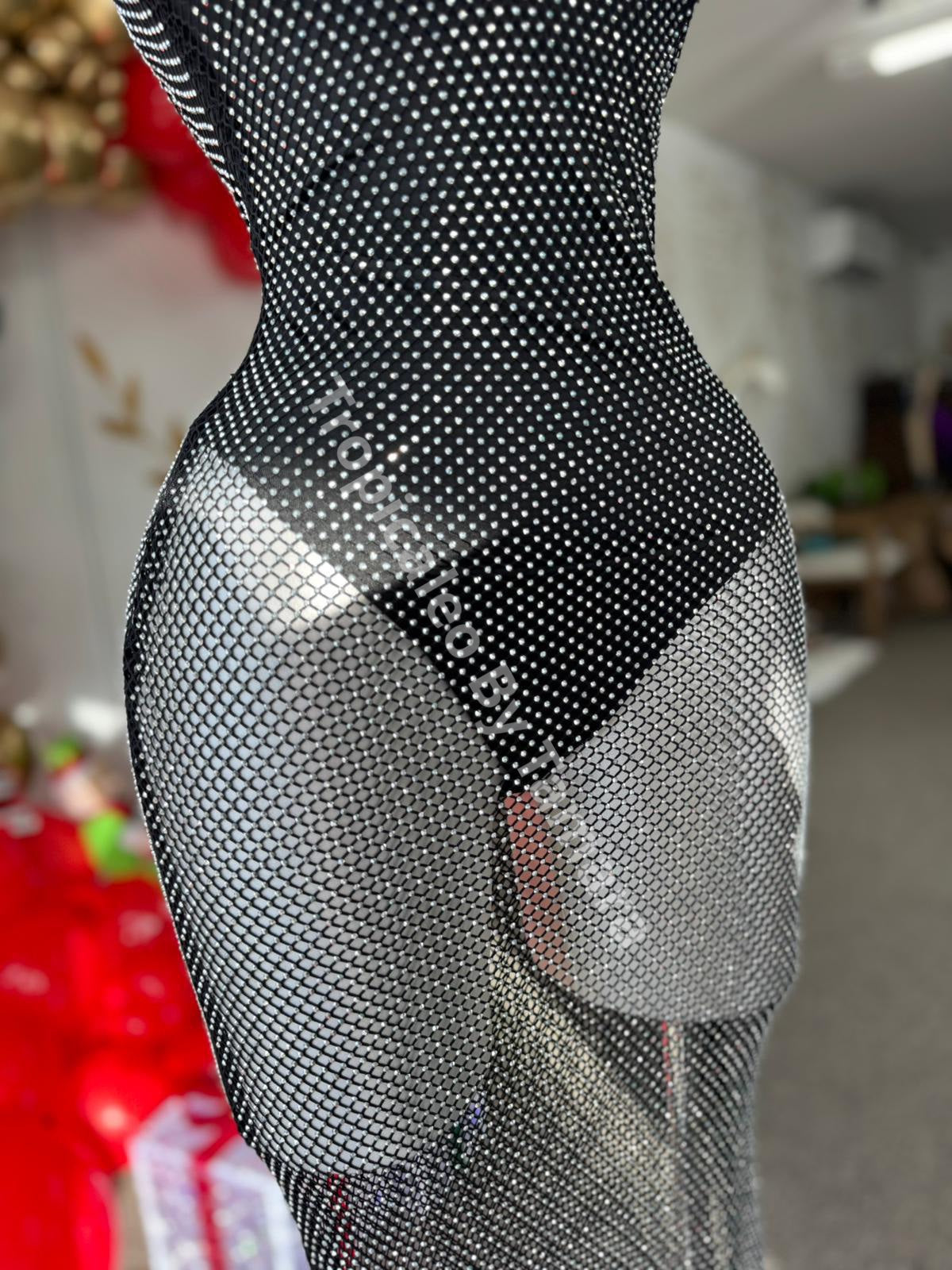 Mesh Body Dress