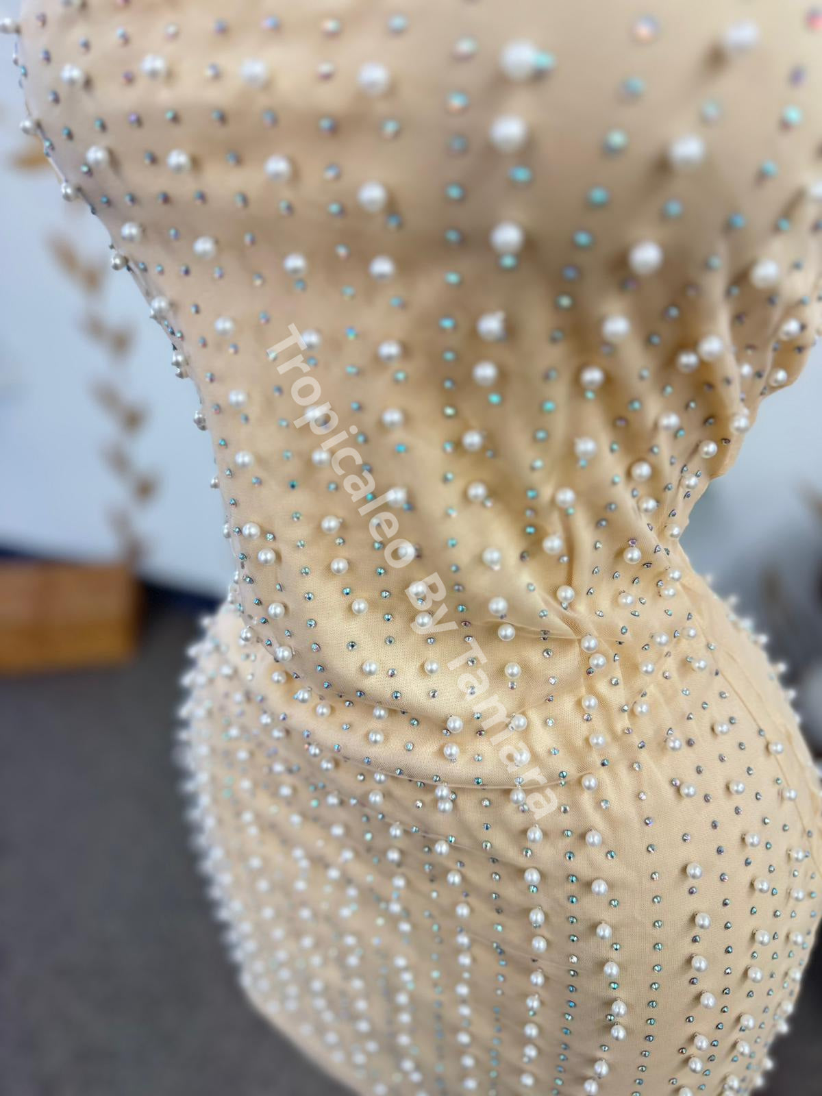 Pearl Mesh Inside Lining Dress