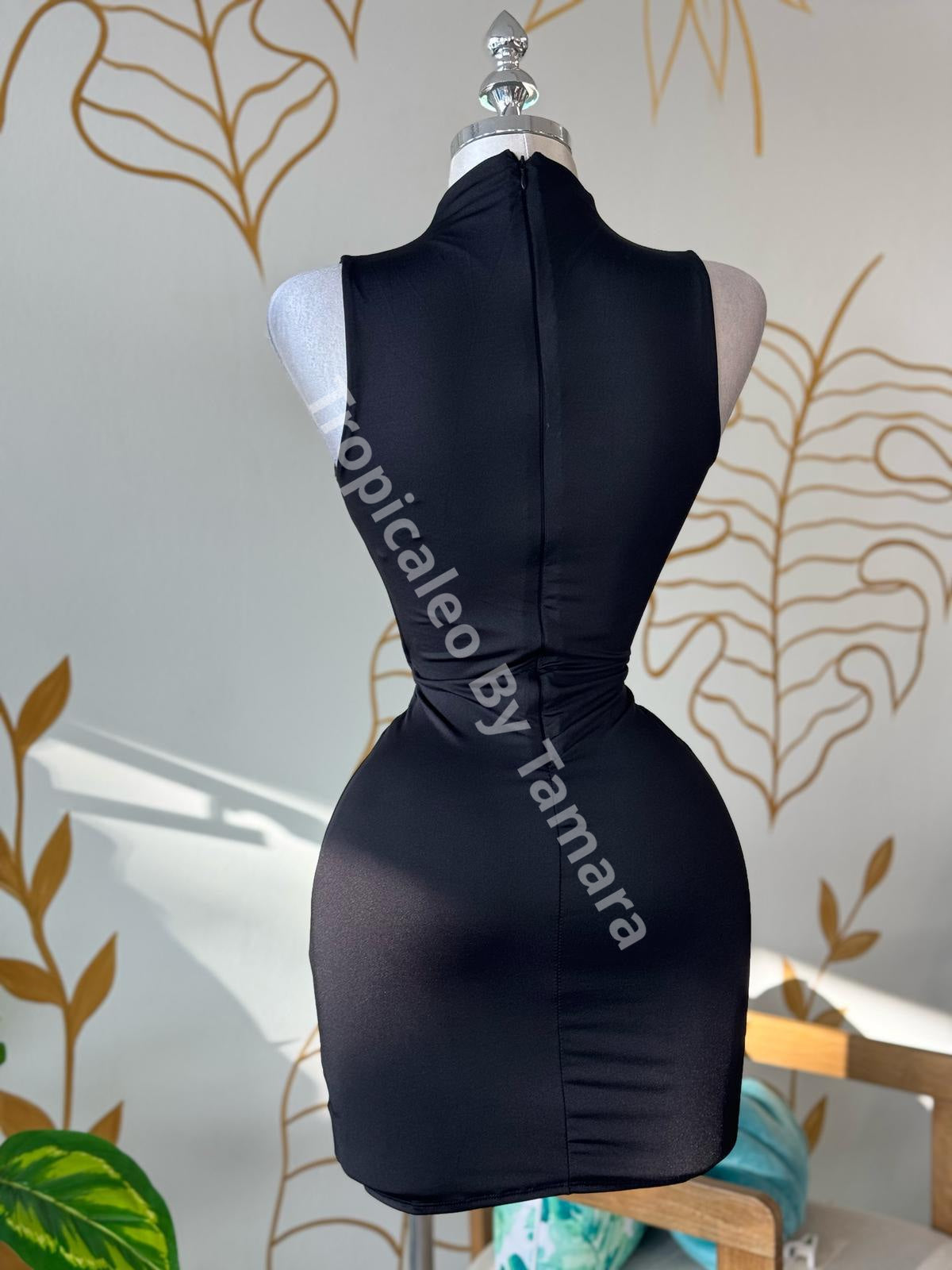 Siren Curves Mini Dress