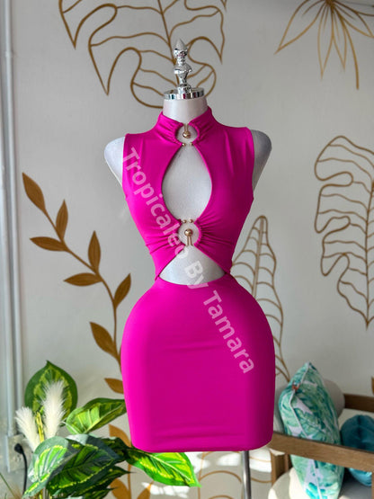 Siren Curves Mini Dress