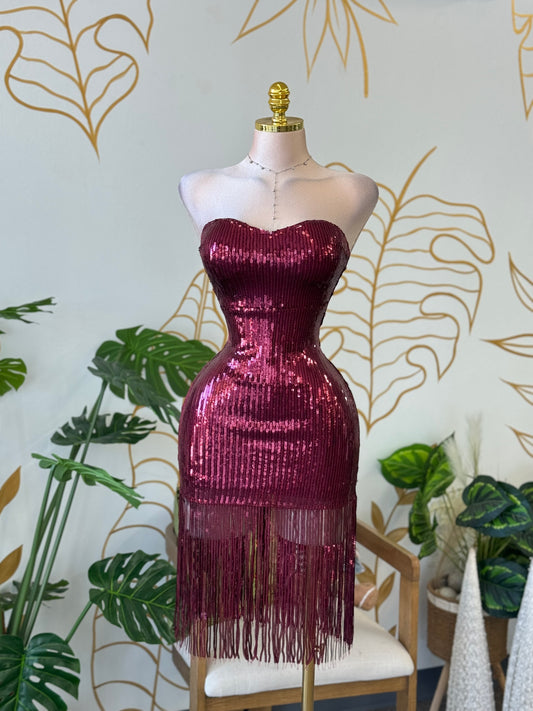 Wine Fringe Sequin Dress