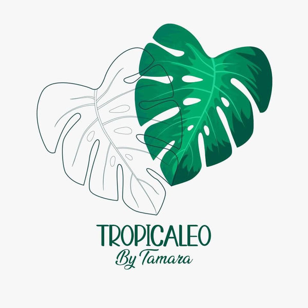 Tropicaleo By Tamara