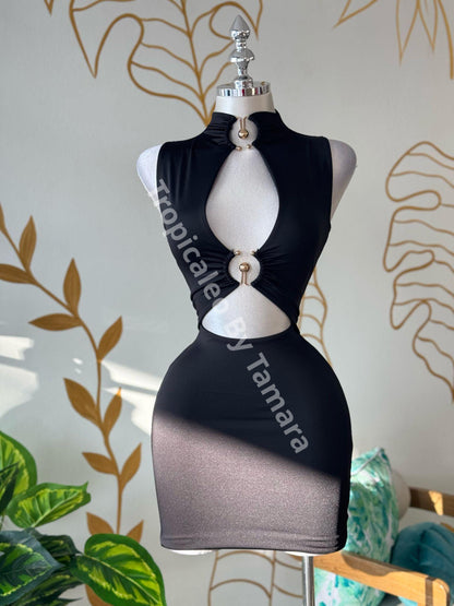 Siren Curves Mini Dress