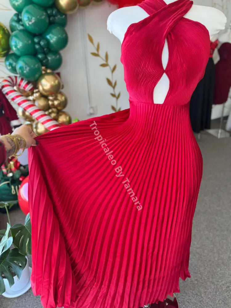 Crimson Pleated Dress