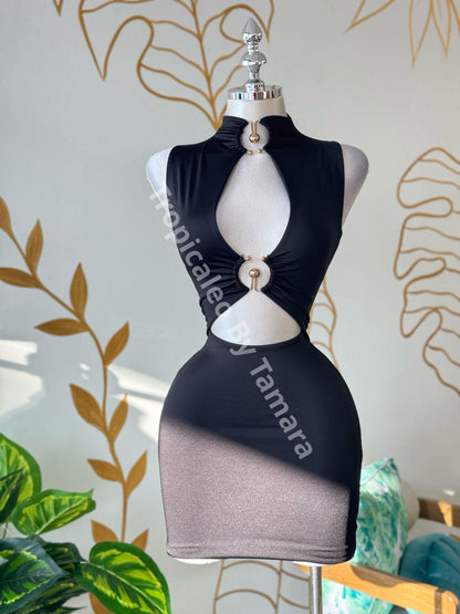 Siren Curves Mini Dress