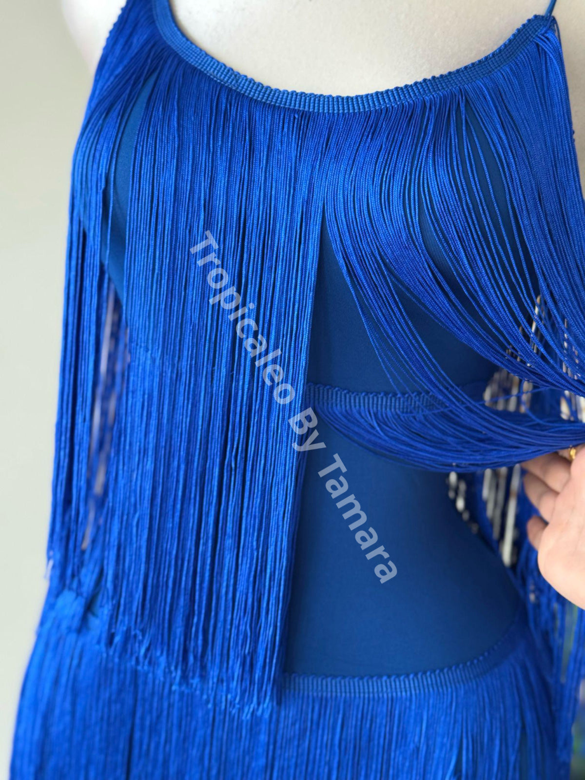 Blue Fringe Dress