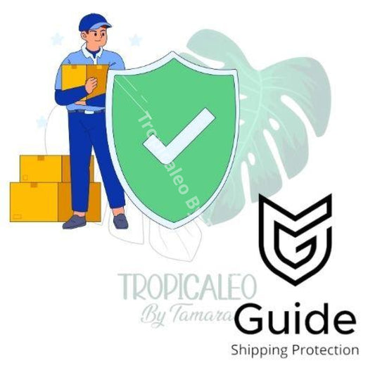 Guide Package Protection Shipping