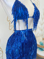 Swan Flapper Set Medium / Azul